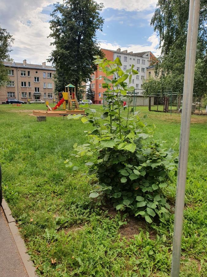 Apartament Erfolg 6 ダウガフピルス エクステリア 写真